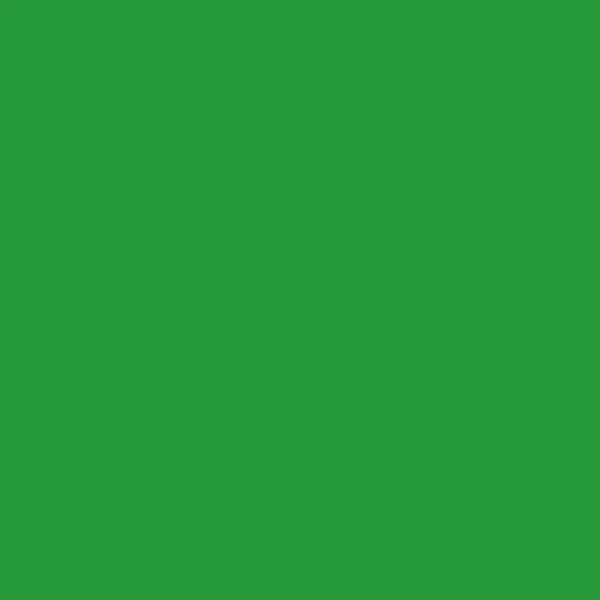 STAHLS'CAD-CUT SportsFilm - Lysegrøn - Light green - 422 STAHLS'CAD-CUT SportsFilm - Lysegrøn - Light green - 422