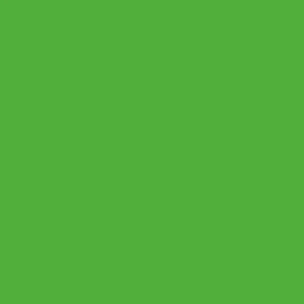 STAHLS' CAD-CUT SportsFilm Neon - Grøn - Neon Green - 401 STAHLS' CAD-CUT SportsFilm Neon - Grøn - Neon Green - 401
