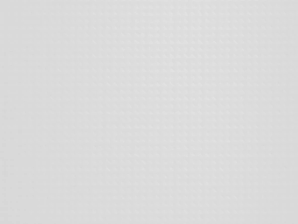 Carbon Hvid – Carbon White - ORACAL 975CA-010 Carbon Hvid – Carbon White - ORACAL 975CA-010